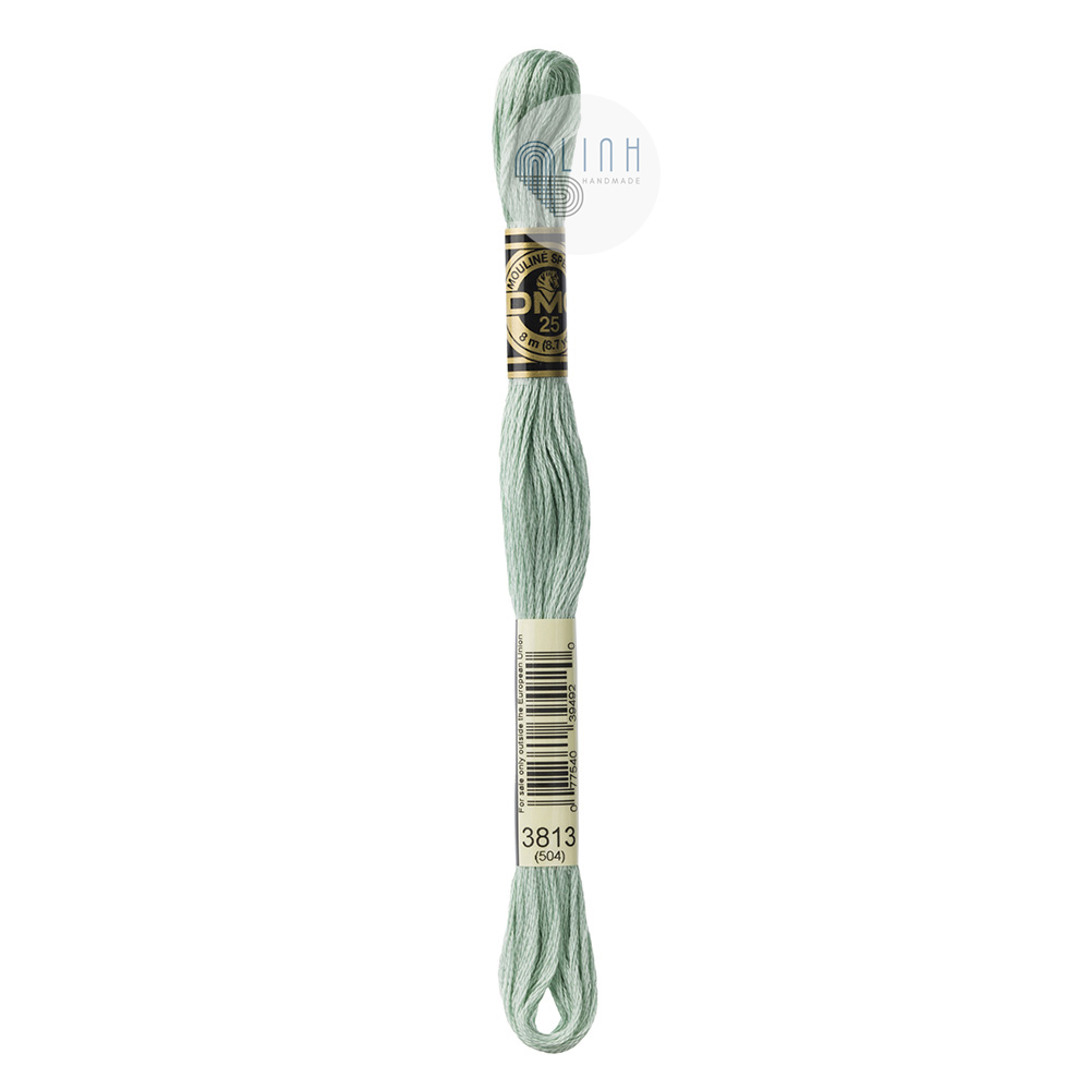 Chỉ thêu cotton DMC EMBROIDERY FLOSS 12 SKEINS 8M Art 117
