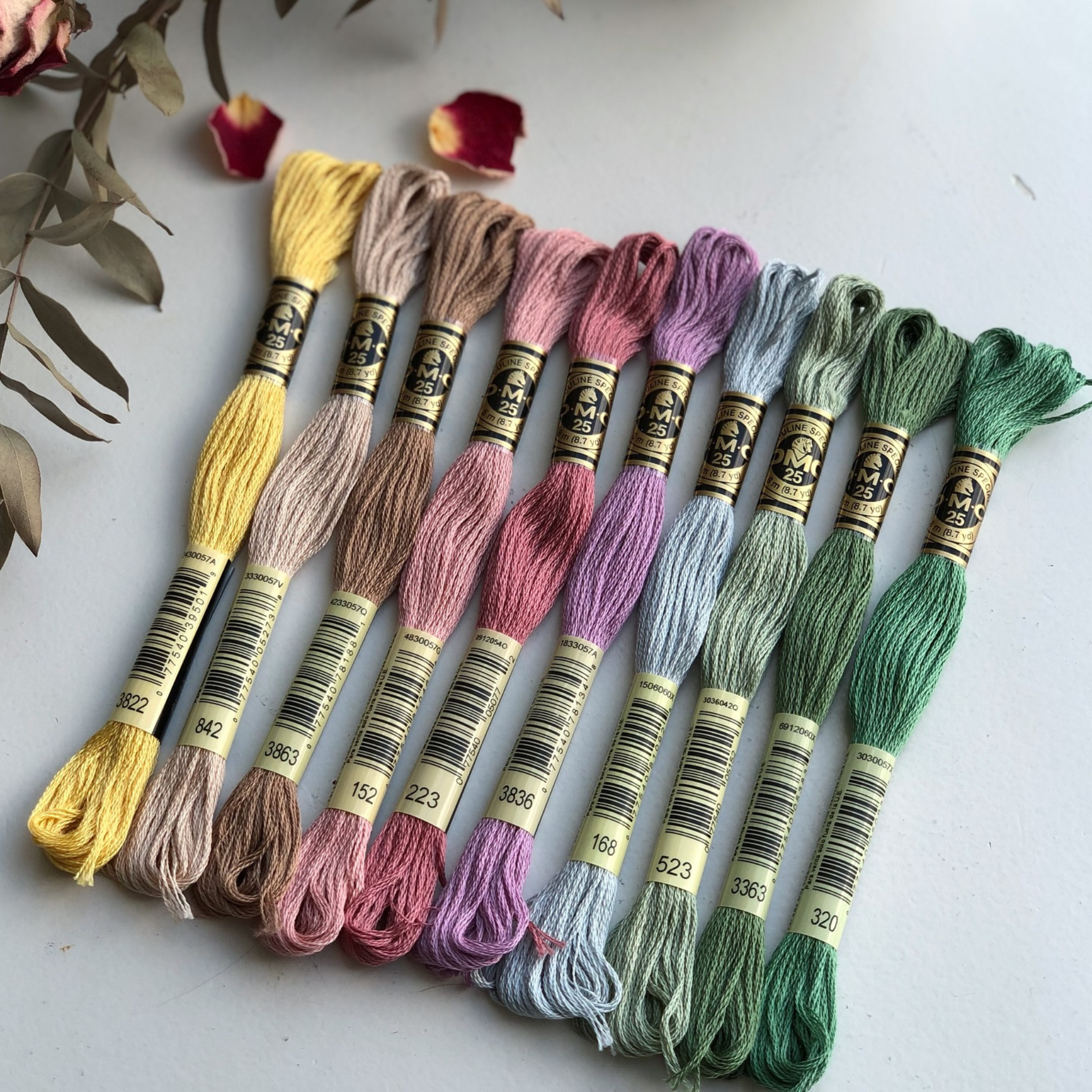 Set chỉ thêu DMC Party Garden