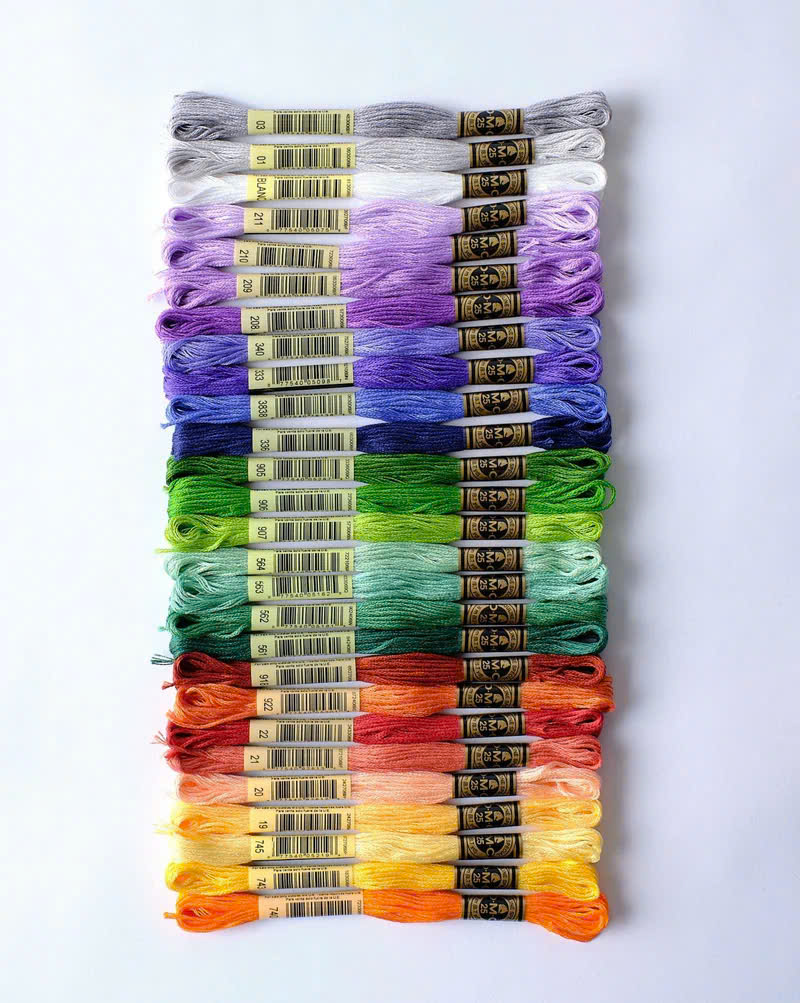  Sét chỉ thêu DMC Floss "Irises" Bundle Inspired by Van Gogh