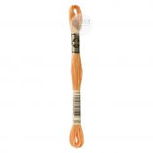Chỉ thêu cotton DMC EMBROIDERY FLOSS 12 SKEINS 8M Art 117