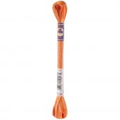 Chỉ thêu DMC Embroidery Floss 12Skeins 8M Color Variations