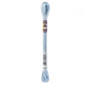 Chỉ thêu DMC Embroidery Floss 12Skeins 8M Color Variations