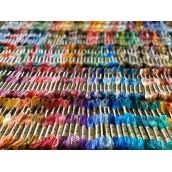 500 mã chỉ DMC’s Stranded Embroidery Floss