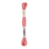 Sợi len thêu LAINE ECOVITA TEINTURE VEGETALE 6 ECH 16M ART 360