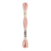 Sợi len thêu LAINE ECOVITA TEINTURE VEGETALE 6 ECH 16M ART 360