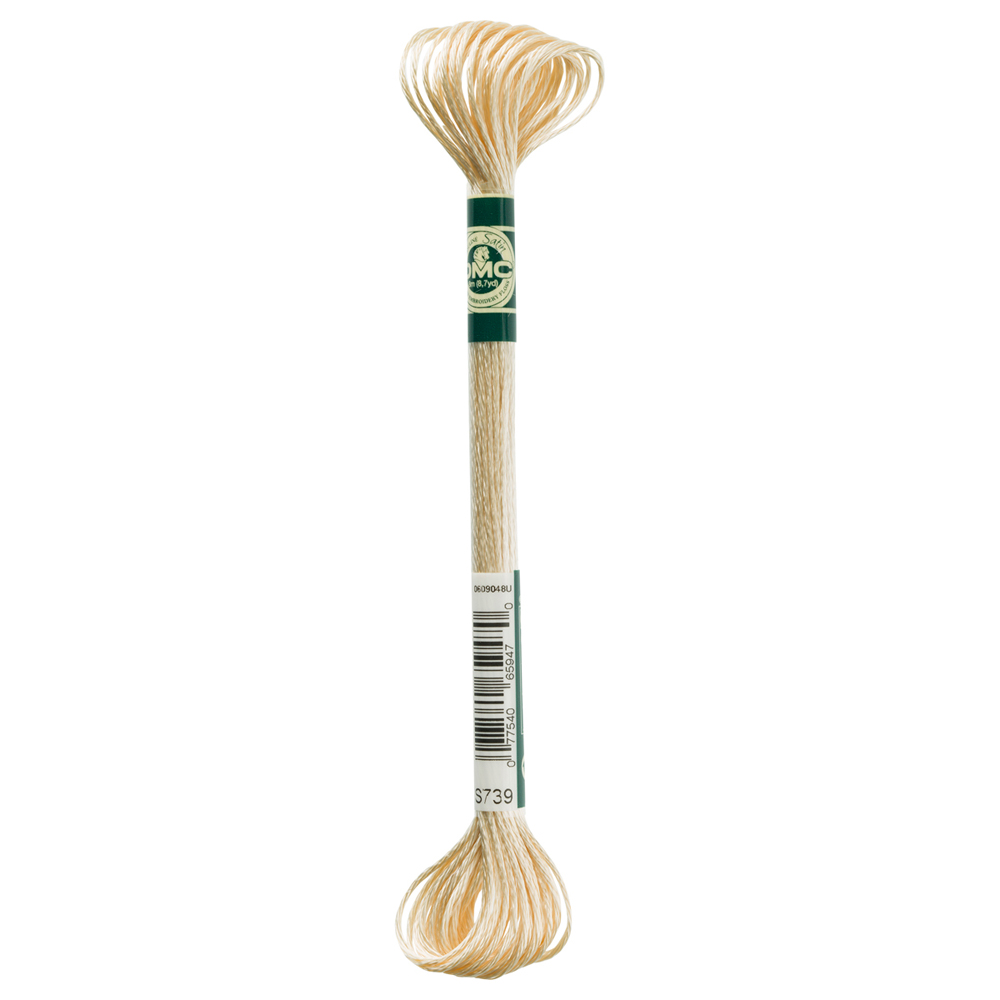 Chỉ thêu DMC Embroidery Floss 12Skeins 8M Satin Floss